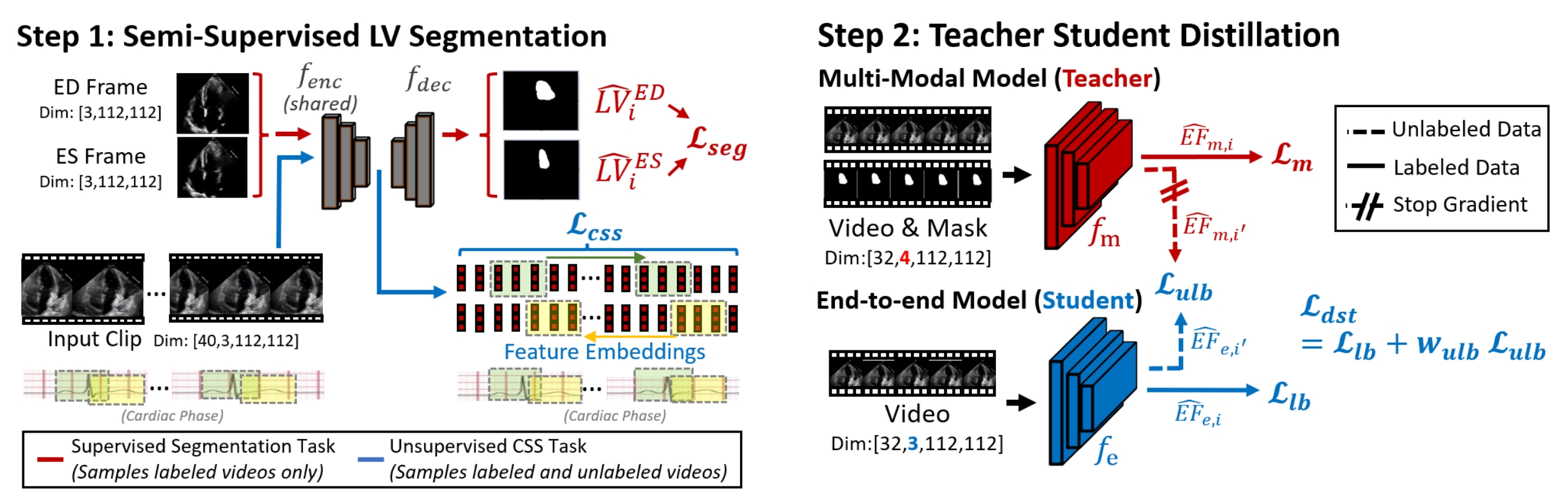 Cyclical Self-Supervision for Semi-Supervised Ejection Fraction Prediction From Echocardiogram Videos