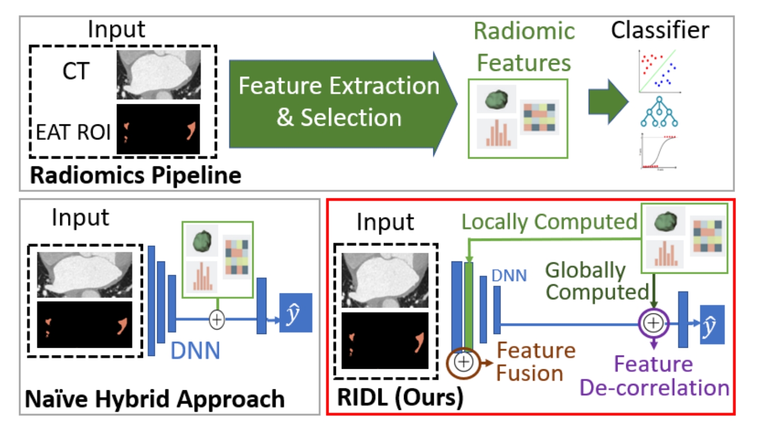 Radiomics-Informed Deep Learning for Classification of Atrial Fibrillation Sub-Types from Left-Atrium CT Volumes
