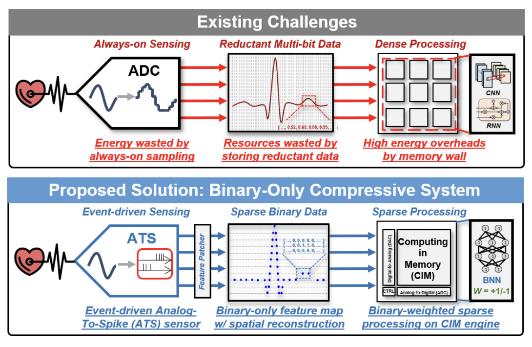 Binary is All You Need: Ultra-Efficient Arrhythmia Detection with a Binary-Only Compressive System