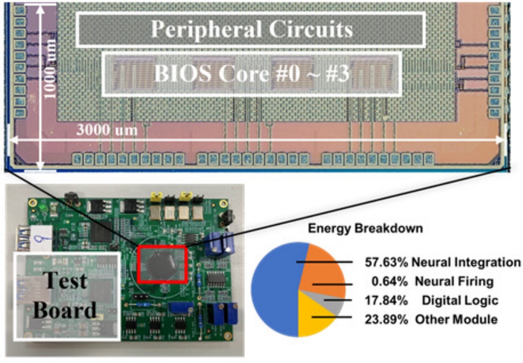 BIOS: A 40nm Bionic Sensor-defined 0.47pJ/SOP, 268.7TSOPs/W Configurable Spiking Neuron-in-Memory Processor for Wearable Healthcare