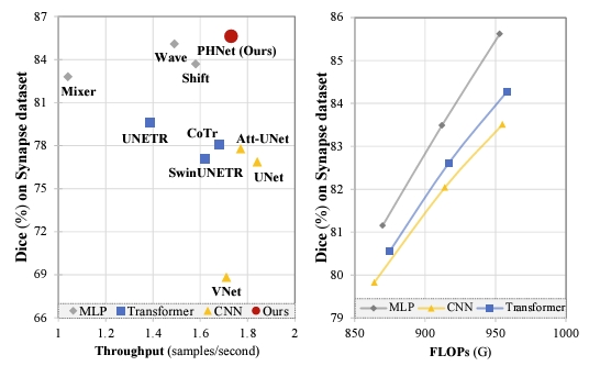 Boosting Convolution with Efficient MLP-Permutation for Volumetric Medical Image Segmentation