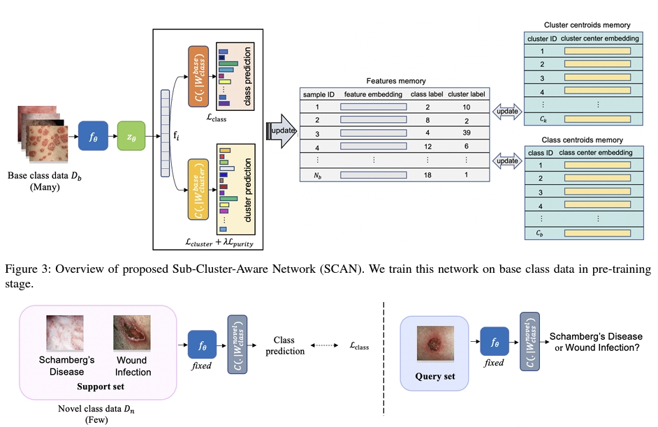 Dynamic Sub-Cluster-Aware Network for Few-Shot Skin Disease Classification