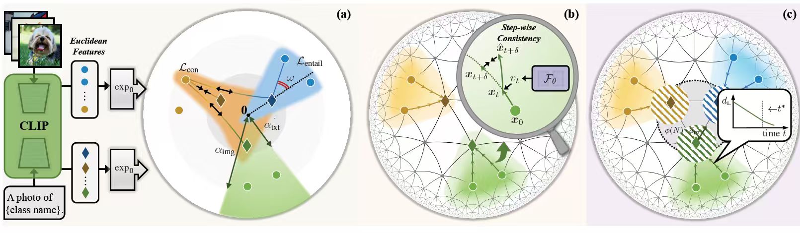 Path-Decoupled Hyperbolic Flow Matching for Few-Shot Adaptation